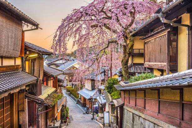 Cherry Blossoms: Nature's Stunning Spring Spectacle